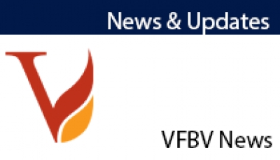 VFBV Youth Network - Calling On Young Volunteers