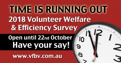 Volunteer Survey - Final Days!