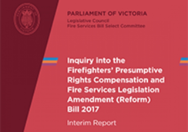 Fire Services Bill - Interim Report